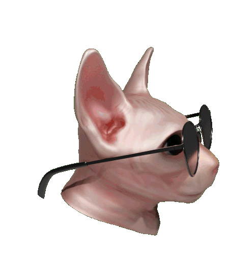 bingus-sunglasses.gif